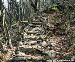 Horvatovih 500 Stuba